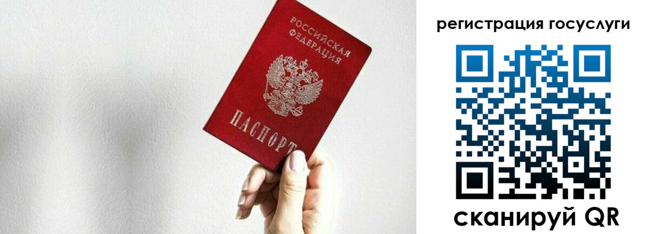 временная регистрация гарантия в Батайске